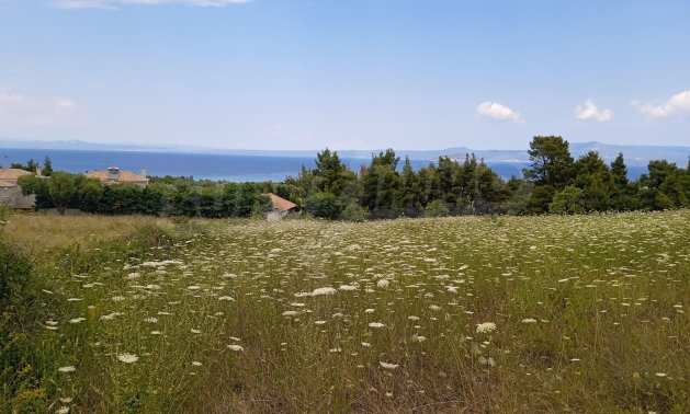 Продава ПАРЦЕЛ, Гърция, Халкидики • 340000 € / 664982.20 лв. • 21942894 1 — Holmes.bg Продава ПАРЦЕЛ, Гърция, Халкидики • 340000 € / 664982.20 лв. • 21942894 1