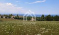 Продава ПАРЦЕЛ, Гърция, Халкидики • 340000 € / 664982.20 лв. • 21942894 16 — Holmes.bg Продава ПАРЦЕЛ, Гърция, Халкидики • 340000 € / 664982.20 лв. • 21942894 16