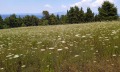 Продава ПАРЦЕЛ, Гърция, Халкидики • 340000 € / 664982.20 лв. • 21942894 10 — Holmes.bg Продава ПАРЦЕЛ, Гърция, Халкидики • 340000 € / 664982.20 лв. • 21942894 10