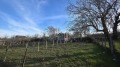 Продава ПАРЦЕЛ, град Варна, с. Константиново • 32000 € / 62586.56 лв. • 38556649 4 — Holmes.bg Продава ПАРЦЕЛ, град Варна, с. Константиново • 32000 € / 62586.56 лв. • 38556649 4