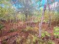 Продава КЪЩА, област Велико Търново, с. Овча могила • 7900 € • 66784431 5 — Holmes.bg Продава КЪЩА, област Велико Търново, с. Овча могила • 7900 € • 66784431 5