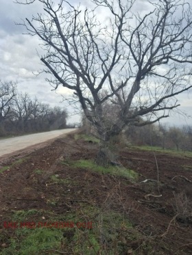 ПАРЦЕЛ, 1 419 m2 - Holmes.bg ПАРЦЕЛ, 1 419 m2