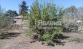 Продава КЪЩА, област Добрич, с. Белгун • 19900 € / 38921.02 лв. • 30702952 6 — Holmes.bg Продава КЪЩА, област Добрич, с. Белгун • 19900 € / 38921.02 лв. • 30702952 6