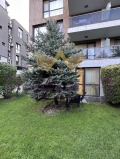 Продава 2-СТАЕН, град Варна, м-т Евксиноград • 199000 € • 24214333 10 — Holmes.bg Продава 2-СТАЕН, град Варна, м-т Евксиноград • 199000 € • 24214333 10