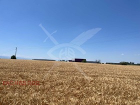 ПАРЦЕЛ, 2 198 m2 - Holmes.bg ПАРЦЕЛ, 2 198 m2