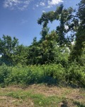 Продава ПАРЦЕЛ, град Кърджали, Веселчане • 28000 € • 95944827 7 — Holmes.bg Продава ПАРЦЕЛ, град Кърджали, Веселчане • 28000 € • 95944827 7