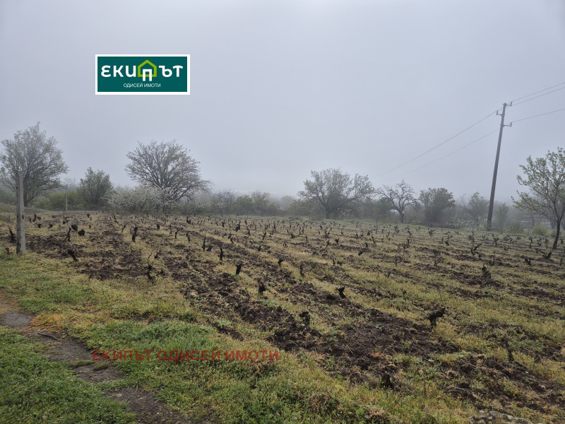 Продава ПАРЦЕЛ, област Варна, гр. Аксаково • 45000 € / 88012.35 лв. • 49325277 1 — Holmes.bg Продава ПАРЦЕЛ, област Варна, гр. Аксаково • 45000 € / 88012.35 лв. • 49325277 1