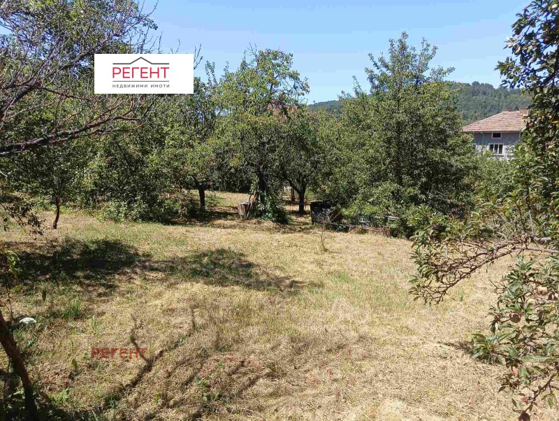 Продава ПАРЦЕЛ, област Габрово, гр. Дряново • 14000 € • 82488539 1 — Holmes.bg Продава ПАРЦЕЛ, област Габрово, гр. Дряново • 14000 € • 82488539 1