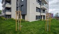Продава 3-стаен град София , Драгалевци , 173 кв.м | 99564078 — Imoti.com Продава 3-стаен град София , Драгалевци , 173 кв.м | 99564078