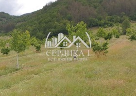 Продажба на земеделски земи в област Кюстендил - изображение 11 