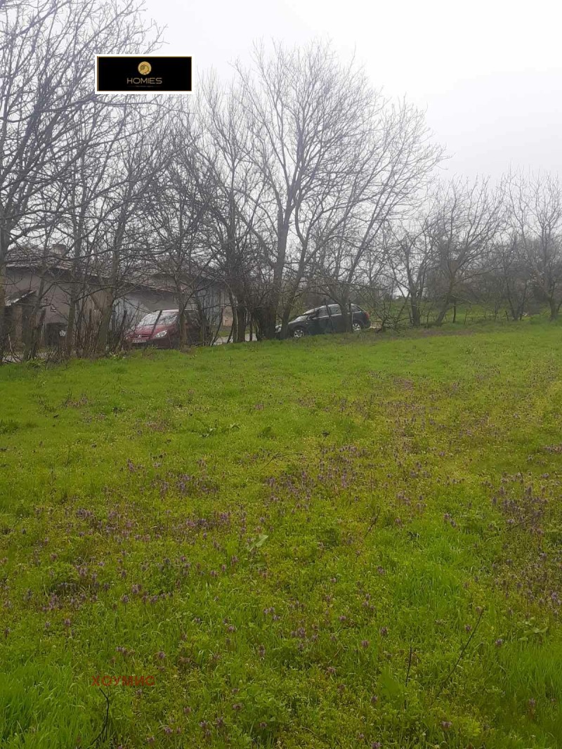 Продава ПАРЦЕЛ, област Русе, с. Кошарна • 4500 € / 8801.24 лв. • 50109570 1 — Holmes.bg Продава ПАРЦЕЛ, област Русе, с. Кошарна • 4500 € / 8801.24 лв. • 50109570 1