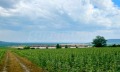 Продава ПАРЦЕЛ, област Добрич, с. Рогачево • 75600 € / 147860.75 лв. • 34120527 3 — Holmes.bg Продава ПАРЦЕЛ, област Добрич, с. Рогачево • 75600 € / 147860.75 лв. • 34120527 3