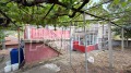 Продава КЪЩА, област Стара Загора, с. Полски Градец • 56000 € • 70358854 3 — Holmes.bg Продава КЪЩА, област Стара Загора, с. Полски Градец • 56000 € • 70358854 3