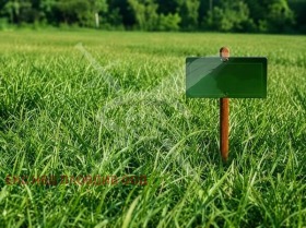 Продава Парцел, с. Леново