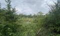 Продава ПАРЦЕЛ, област Видин, с. Милчина лъка • 2307 € • 54484750 6 — Holmes.bg Продава ПАРЦЕЛ, област Видин, с. Милчина лъка • 2307 € • 54484750 6