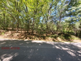 ПАРЦЕЛ, 3 304 m2 - Holmes.bg ПАРЦЕЛ, 3 304 m2