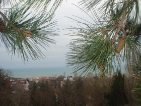 Обява Продава ПАРЦЕЛ,град Варна, м-т Ален мак