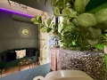 Продава ОФИС, град Варна, Лятно кино Тракия • 175000 € • 51978635 6 — Holmes.bg Продава ОФИС, град Варна, Лятно кино Тракия • 175000 € • 51978635 6