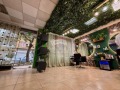 Продава ОФИС, град Варна, Лятно кино Тракия • 175000 € • 51978635 2 — Holmes.bg Продава ОФИС, град Варна, Лятно кино Тракия • 175000 € • 51978635 2
