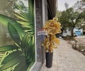 Продава ОФИС, град Варна, Лятно кино Тракия • 175000 € • 51978635 17 — Holmes.bg Продава ОФИС, град Варна, Лятно кино Тракия • 175000 € • 51978635 17