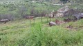 Продава ПАРЦЕЛ, област Стара Загора, с. Малка Верея • 22000 € / 43028.26 лв. • 33854437 1 — Holmes.bg Продава ПАРЦЕЛ, област Стара Загора, с. Малка Верея • 22000 € / 43028.26 лв. • 33854437 1