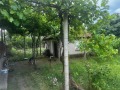 Продава КЪЩА, област Пловдив, с. Дрангово • 32000 € / 62586.56 лв. • 69437654 4 — Holmes.bg Продава КЪЩА, област Пловдив, с. Дрангово • 32000 € / 62586.56 лв. • 69437654 4