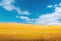 Продава Земеделска земя област Пловдив , с. Бегово , 5.4 дка | 12826714 — Imoti.com Продава Земеделска земя област Пловдив , с. Бегово , 5.4 дка | 12826714