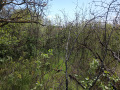 Продава Парцел град Варна , м-т Ментешето , 2869 кв.м | 15421920 — Imoti.com Продава Парцел град Варна , м-т Ментешето , 2869 кв.м | 15421920