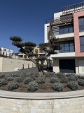 Продава 3-СТАЕН, град Варна, Бриз • 373500 € / 730502.51 лв. • 74731889 9 — Holmes.bg Продава 3-СТАЕН, град Варна, Бриз • 373500 € / 730502.51 лв. • 74731889 9