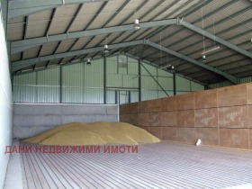 Обява Продава ПАРЦЕЛ,с. Езерово, област Варна>