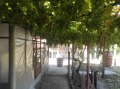 Продава КЪЩА, област Русе, с. Екзарх Йосиф • 18000 € • 22099024 5 — Holmes.bg Продава КЪЩА, област Русе, с. Екзарх Йосиф • 18000 € • 22099024 5