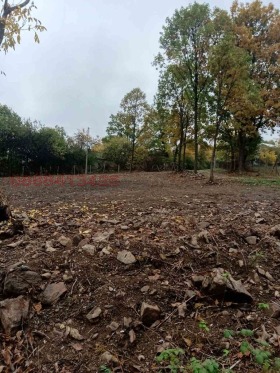 Снимка Продава ЗЕМЕДЕЛСКА ЗЕМЯ