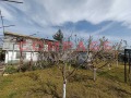 Продава Парцел област Варна , с. Езерово , 600 кв.м | 84493024 — Imoti.com Продава Парцел област Варна , с. Езерово , 600 кв.м | 84493024
