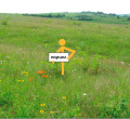 Продава Парцел град Плевен , м-т Стражата , 943 кв.м | 29185441 — Imoti.com Продава Парцел град Плевен , м-т Стражата , 943 кв.м | 29185441