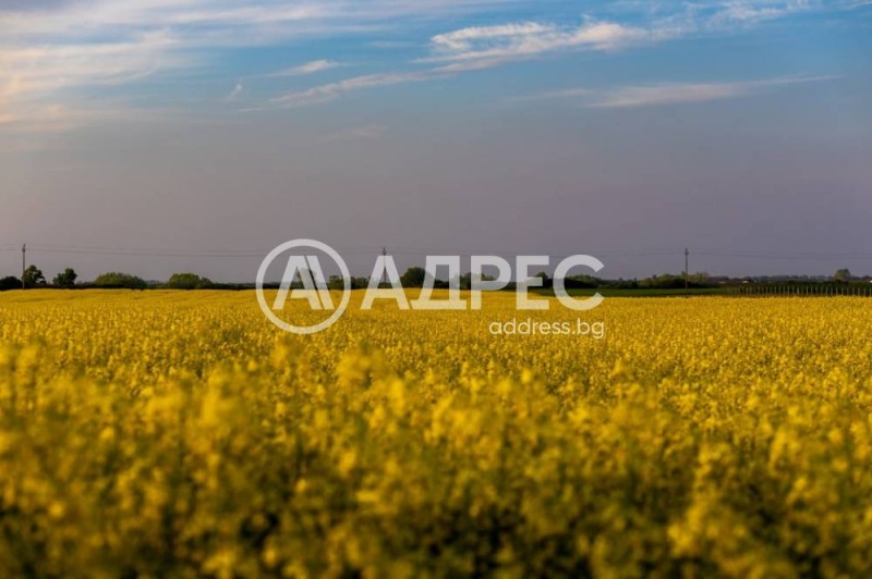 Продава ПАРЦЕЛ, град София, с. Горни Богров • 48000 € • 97944280 1 — Holmes.bg Продава ПАРЦЕЛ, град София, с. Горни Богров • 48000 € • 97944280 1