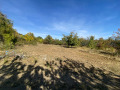 Продава ПАРЦЕЛ, област Пловдив, с. Руен • 10000 € • 83836455 1 — Holmes.bg Продава ПАРЦЕЛ, област Пловдив, с. Руен • 10000 € • 83836455 1