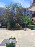 Продава 2-СТАЕН, област Бургас, к.к. Слънчев бряг • 120000 € / 234699.60 лв. • 74686647 15 — Holmes.bg Продава 2-СТАЕН, област Бургас, к.к. Слънчев бряг • 120000 € / 234699.60 лв. • 74686647 15
