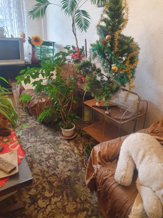 Продава 3-СТАЕН, град София, Сухата река • 265000 € / 518294.95 лв. • 49218480 1 — Holmes.bg Продава 3-СТАЕН, град София, Сухата река • 265000 € / 518294.95 лв. • 49218480 1