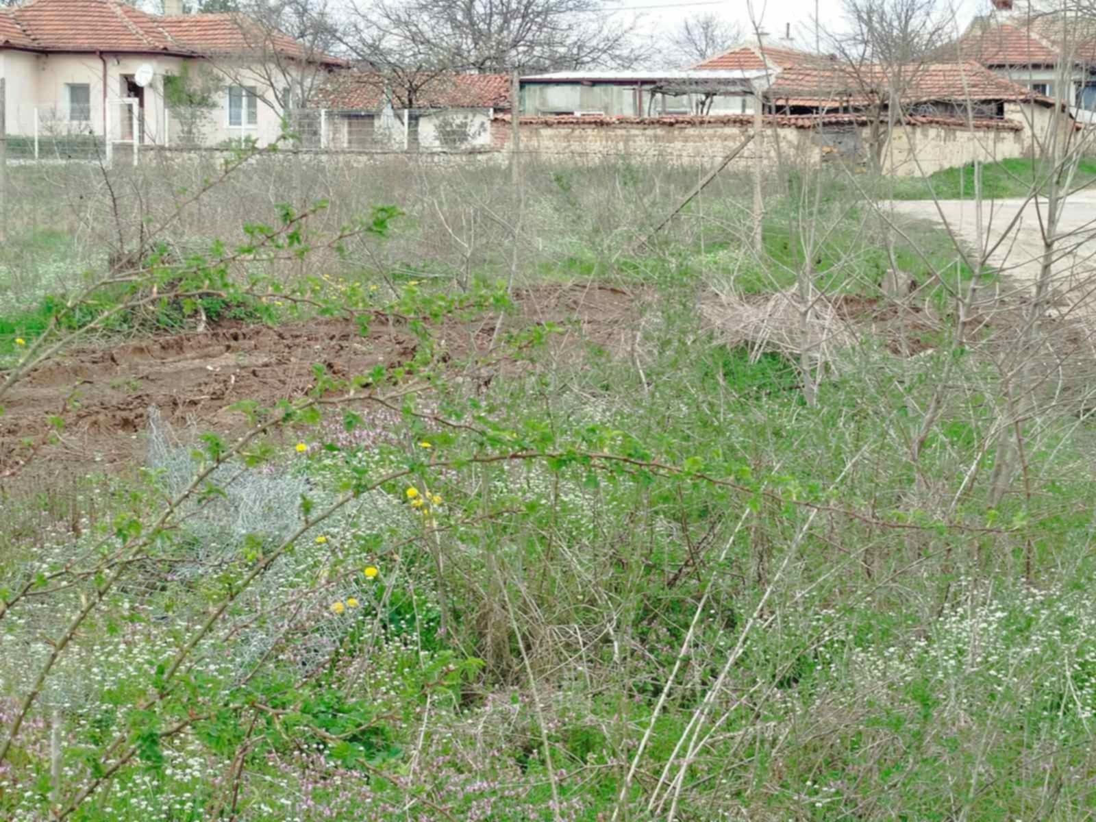 Продава Парцел област Хасково , с. Орлово , 1280 кв.м | 10841635 — Imoti.com Продава Парцел област Хасково , с. Орлово , 1280 кв.м | 10841635