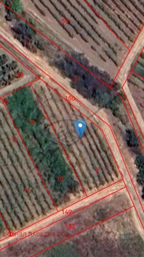 Продава Парцел, с. Браниполе