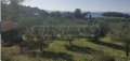 Продава ПАРЦЕЛ, Гърция, Халкидики • 430000 € / 841006.90 лв. • 90141807 4 — Holmes.bg Продава ПАРЦЕЛ, Гърция, Халкидики • 430000 € / 841006.90 лв. • 90141807 4