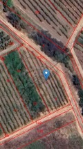Продава Парцел област Пловдив , с. Браниполе , 900 кв.м | 31468446 — Imoti.com Продава Парцел област Пловдив , с. Браниполе , 900 кв.м | 31468446
