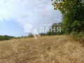 Продава ПАРЦЕЛ, област Пловдив, с. Васил Левски • 18700 € • 17357274 2 — Holmes.bg Продава ПАРЦЕЛ, област Пловдив, с. Васил Левски • 18700 € • 17357274 2
