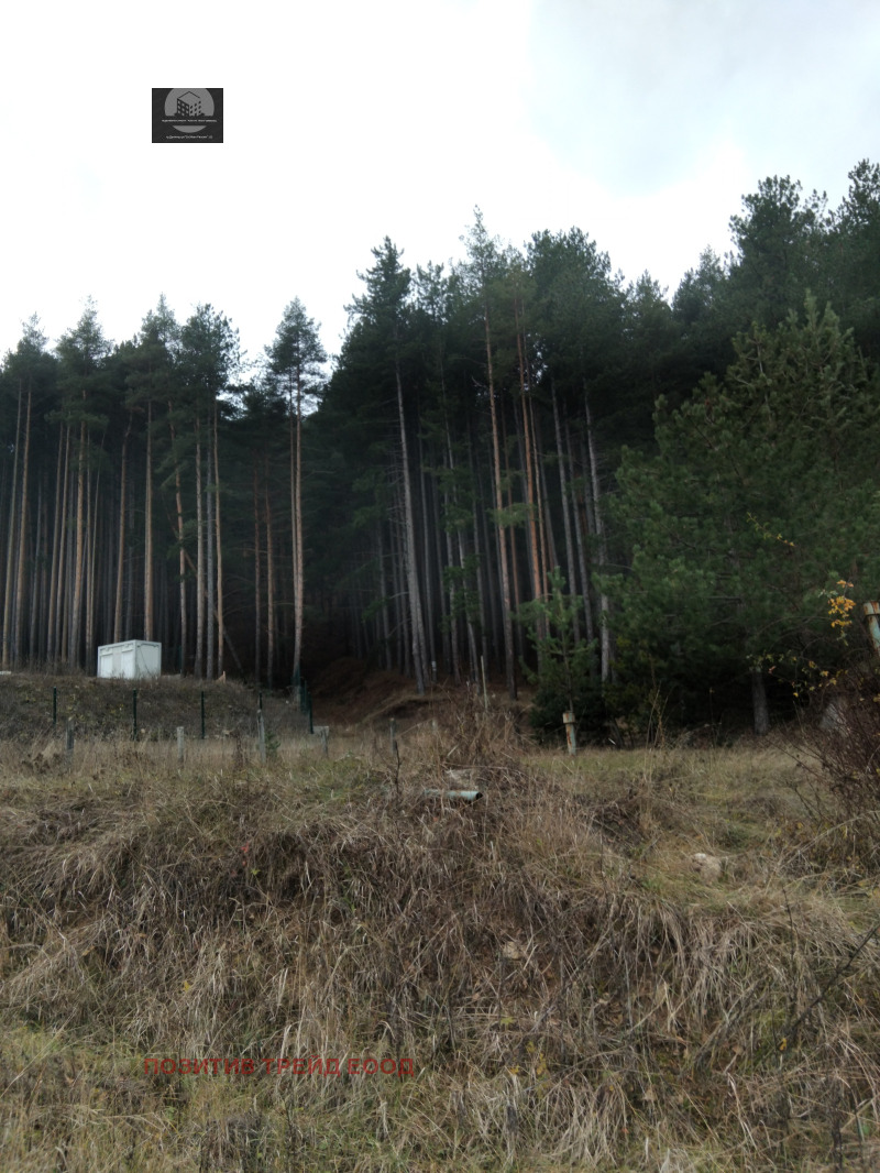 Продава ПАРЦЕЛ, област Кюстендил, гр. Сапарева баня • 102000 € / 199494.66 лв. • 42577986 1 — Holmes.bg Продава ПАРЦЕЛ, област Кюстендил, гр. Сапарева баня • 102000 € / 199494.66 лв. • 42577986 1