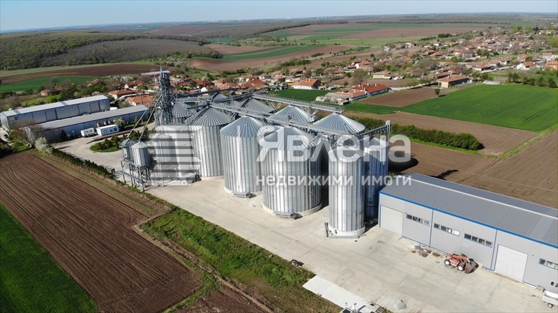 Продава Пром. помещение област Силистра , с. Паисиево , 20046 кв.м | 35698193 — Imoti.com Продава Пром. помещение област Силистра , с. Паисиево , 20046 кв.м | 35698193