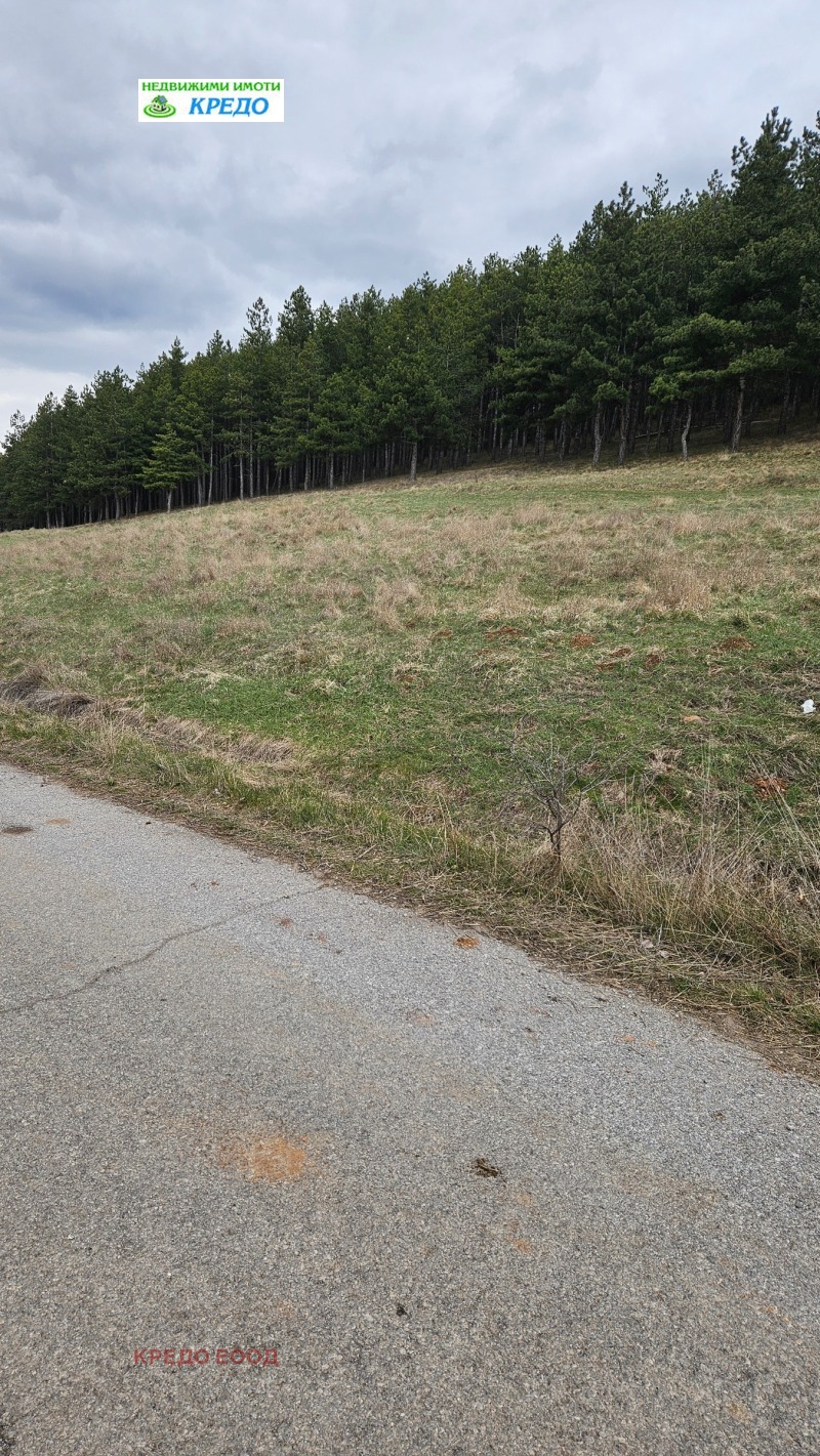 Продава ПАРЦЕЛ, област Перник, с. Гълъбник • по договаряне • 54621759 1 — Holmes.bg Продава ПАРЦЕЛ, област Перник, с. Гълъбник • по договаряне • 54621759 1