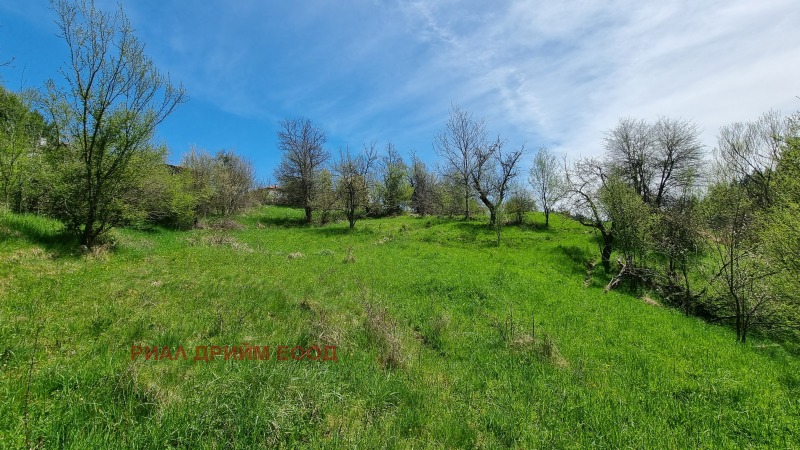 Продава  Земеделска земя област Смолян , с. Габрица , 1.2 дка | 39795202 - изображение [9]