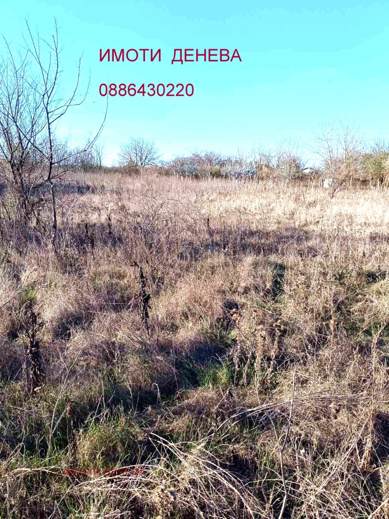 Продава ПАРЦЕЛ, област Добрич, с. Методиево • 9700 € / 18971.55 лв. • 20283376 1 — Holmes.bg Продава ПАРЦЕЛ, област Добрич, с. Методиево • 9700 € / 18971.55 лв. • 20283376 1