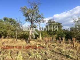 ПАРЦЕЛ, 1 050 m2 - Holmes.bg ПАРЦЕЛ, 1 050 m2