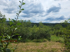 ПАРЦЕЛ, 3 277 m2 - Holmes.bg ПАРЦЕЛ, 3 277 m2